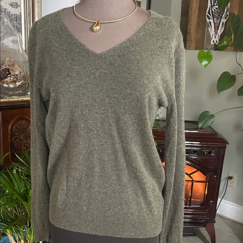 Everlane Olive V-Neck Sweater